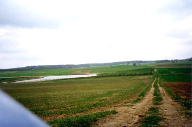 Countryside near Bernickow
