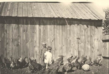 Richard, Arthur and Chickens