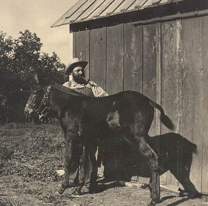 Grandpa Mueller's Mules