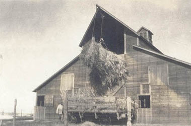 Mueller Barn